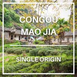Congou Mao Jia Green Tea