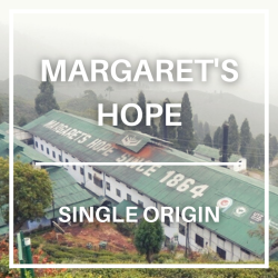 Darjeeling Margaret's Hope...