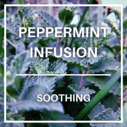 Peppermint Leaves Infusion